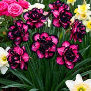 Нарцисс Золотая Корона купить по цене от 2000р. в интернет-магазине «Посадика» с доставкой почтой в в Ивделье и по всей России – [изображение №1].