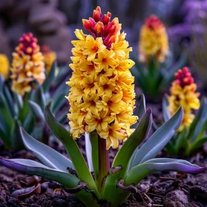 Гиацинт Миднайт Мистери купить по цене от 2099р. в интернет-магазине «Посадика» с доставкой почтой в в Ивделье и по всей России – [изображение №1].